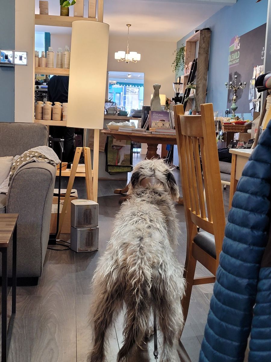 A customer waiting in store at Dudley & George's